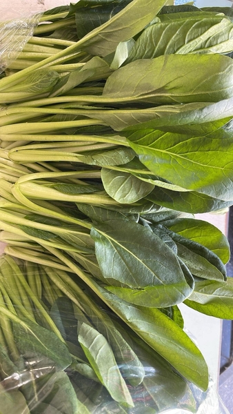 rau cải ngọt