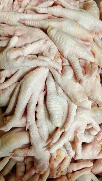 Chân gà ngắn xấu ( để cho quán ăn )