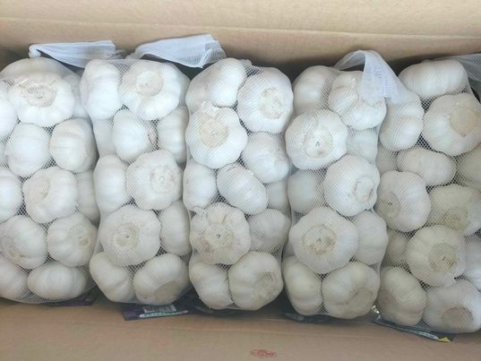 Củ tỏi ( bịch 1kg)