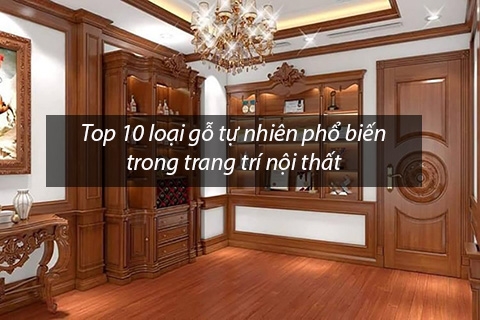 Top 10 loại gỗ tự nhiên phổ biến trong trang trí nội thất