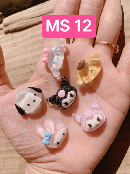 Túi mù MS 12
