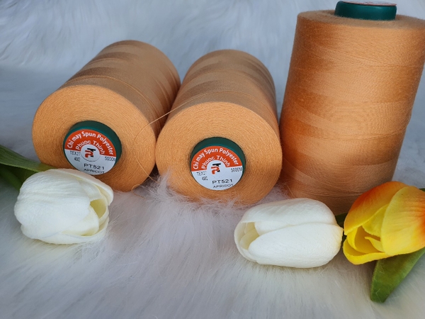 chi-may-40-2-pt521-apricot