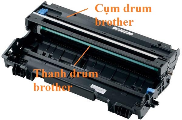 Cụm Drum máy in laser Brother HL-L2366DW 