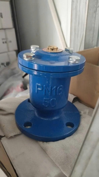 van-xa-khi-gang-mat-bich-dn50-pn16