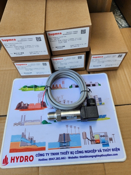 cam-bien-ap-suat-dang-kim-supmea-sup-p300-series