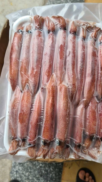 Mực ghim trứng A 9-12A net8 - khay 1kg