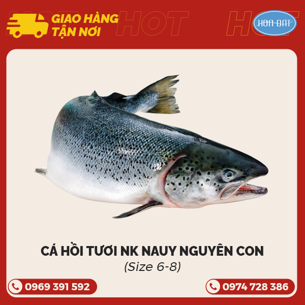 Cá Hồi Tươi Nguyên con NK Nauy