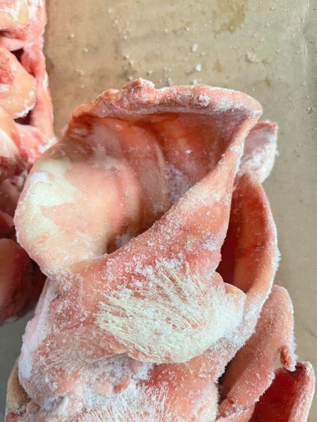 TAI HEO TÂY BAN NHA RIVASAM ĐÔNG LẠNH – THÙNG 10KG