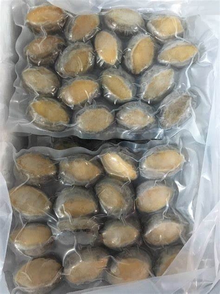 Bào ngư 18 (18 con/ túi 1kg net 6)