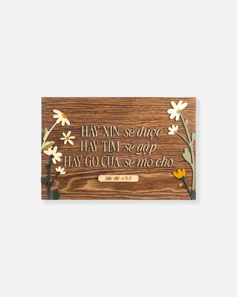 Hãy xin sẽ được, hãy tìm sẽ gặp [Ma-thi-ơ 7:7]