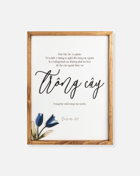Trông cậy [Giê-rê-mi 29:11]