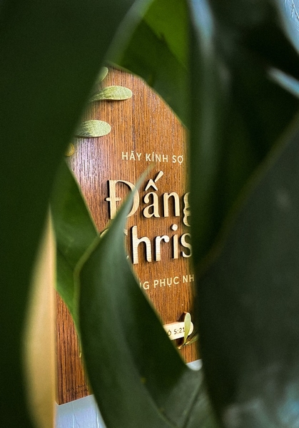 Olive leaves - Moses Vòm