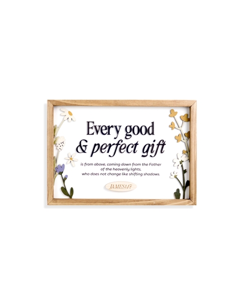 Every Good & Perfect Gift - {James 1:17}