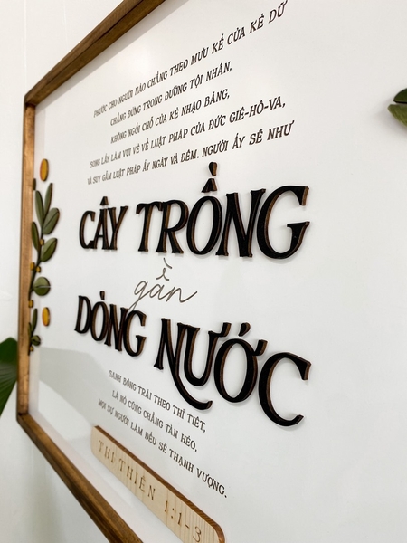 By streams of water | Kumquat bundle | Joshua chữ nhật