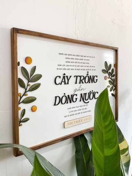 By streams of water | Kumquat bundle | Joshua chữ nhật