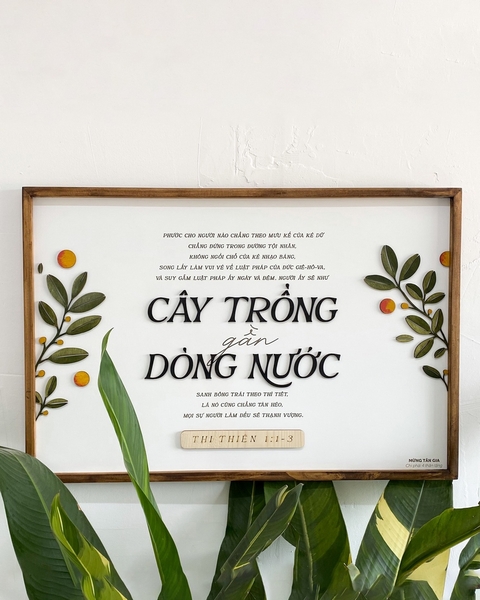 By streams of water | Kumquat bundle | Joshua chữ nhật