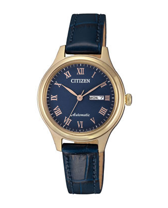 Citizen PD7133-11L