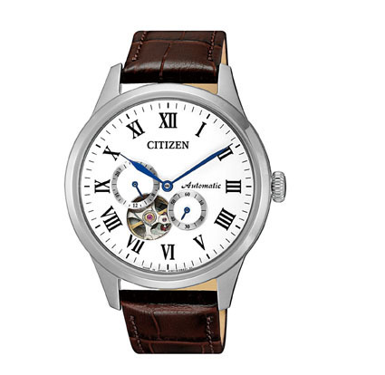 Citizen NP1020-15A