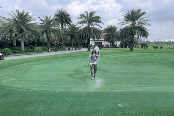 5 Lưu Ý Quan Trọng Trước Khi Sử Dụng Thuốc Trừ Sâu Cho Sân Golf