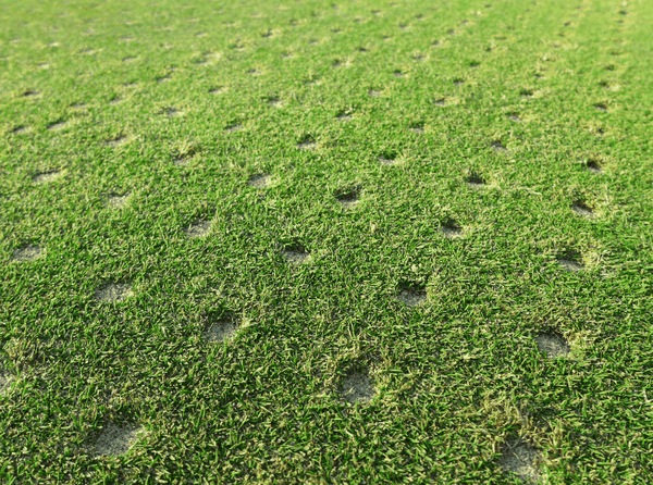 5 lý do tại sao sục khí là yếu tố quan trọng đối với một sân golf lành mạnh