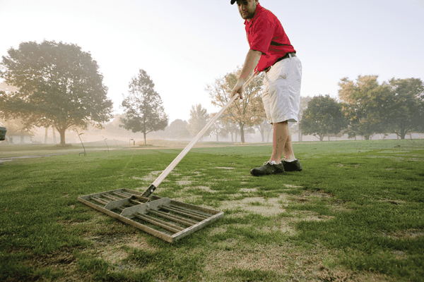 Cách bảo trì cỏ thông minh có thể cải thiện mọi lỗ golf và bunker trước khi mùa thu đến