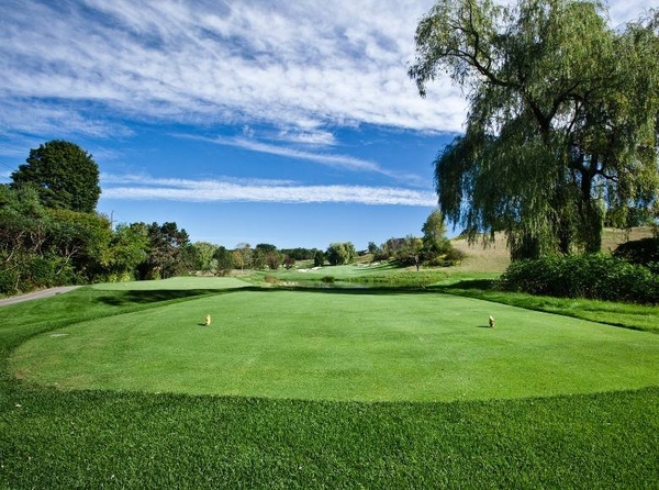 Cải tạo sân golf: Chiến lược nâng cao khả năng chơi và tính thẩm mỹ