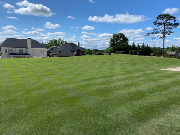 Hướng dẫn chăm sóc bãi cỏ cho người mới bắt đầu