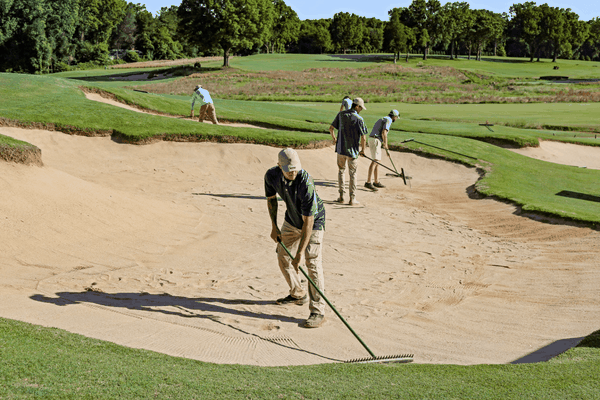 Chuẩn bị bunker và cỏ sân golf cho mùa chơi cao điểm mùa thu trên sân golf thành phố của bạn