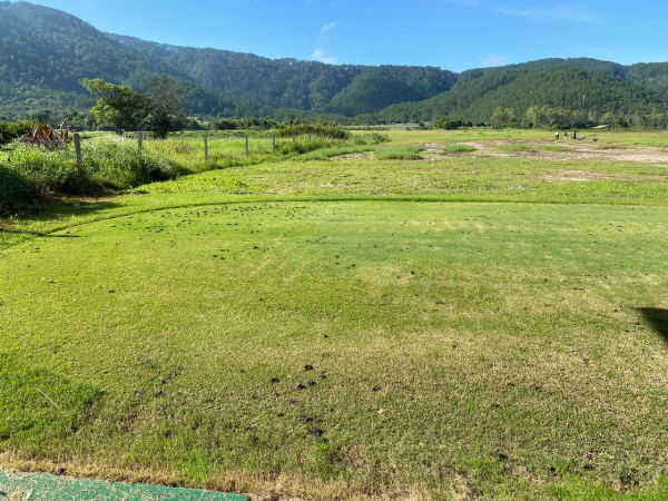 Phương Pháp Kiểm Soát Cỏ Dại Trên Sân Golf Hiệu Quả Nhất