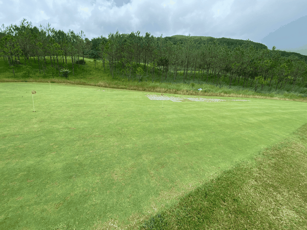 3 nhóm cỏ sân golf mà bạn cần biết và phân biệt được