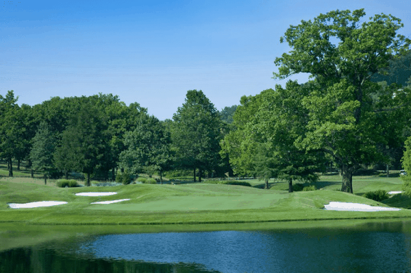 Giảm lượng khí thải carbon của sân golf thông qua quản lý cây xanh