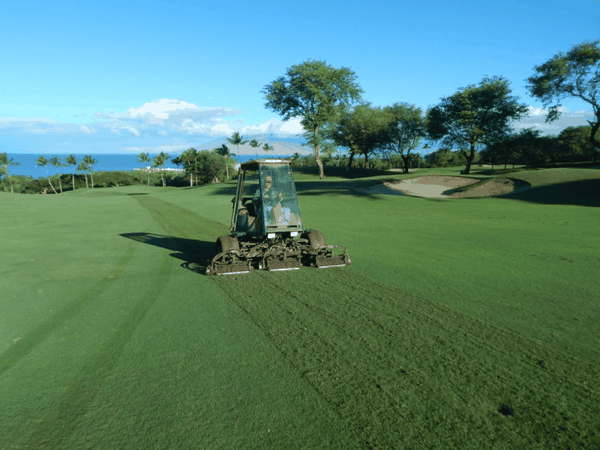 Lợi ích về môi trường của việc tái chế cỏ cắt trên sân golf