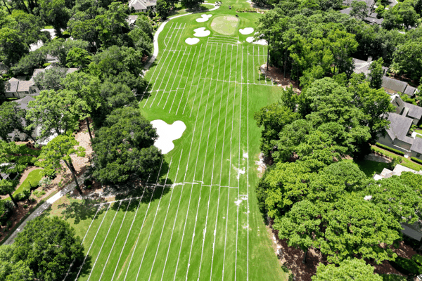 Mẹo thiết yếu về cảnh quan sân golf cho Greens và Fairways