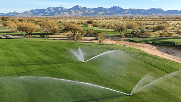 Mẹo tưới nước cho sân golf để tiết kiệm nước mà không ảnh hưởng đến cỏ