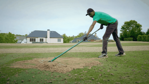 5 Chiến thuật hiệu quả để ngăn ngừa bệnh cỏ sân golf