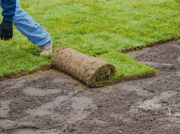 Ngăn ngừa xói mòn trên sân golf bằng cỏ thảm