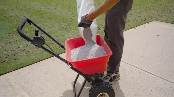 Nitơ có tác dụng gì cho bãi cỏ của bạn?