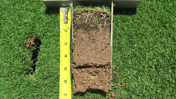 Lợi ích của việc phủ cát cho Fairways sân golf là gì?