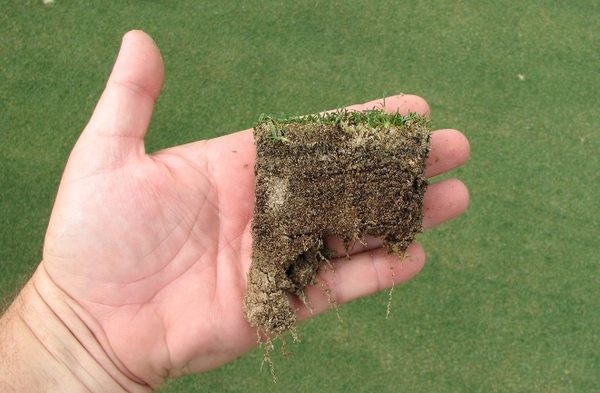 Đo nồng độ Nitrat (NO3-) trực tiếp trên sân golf - Giải pháp đo lường tiết kiệm chi phí