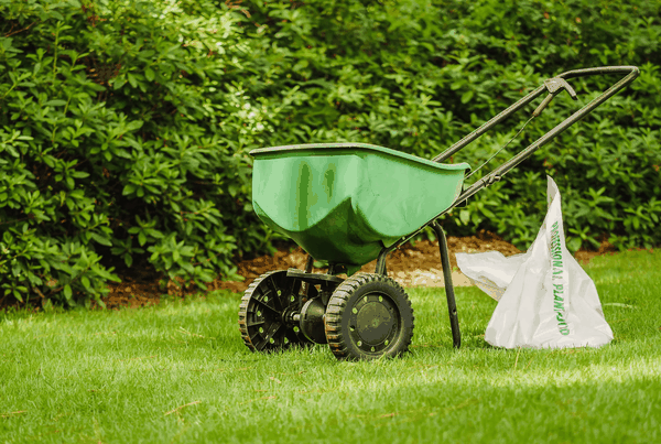 Khi nào là thời điểm tốt nhất để bón phân cho bãi cỏ?