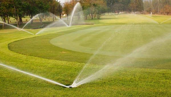 Tìm hiểu về chất làm ướt sân golf