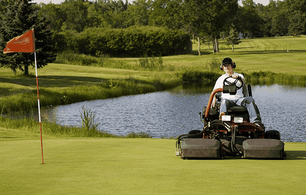Vai trò của máy cắt cỏ sân golf trong việc quản lý sức khỏe bãi cỏ
