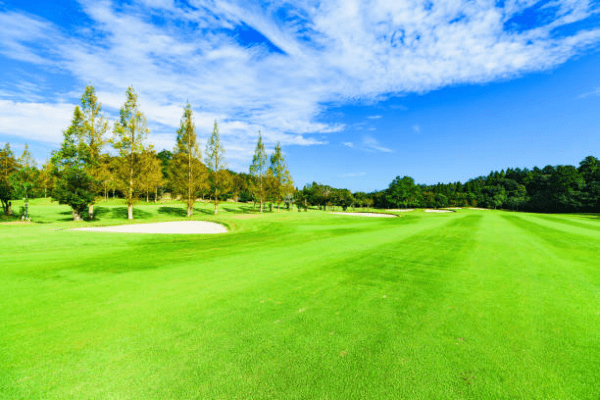 Những xu hướng thiết kế và tái thiết sân golf hàng đầu năm 2025 là gì?