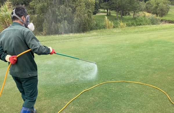 Quy trình phun thuốc trừ cỏ dại chọn lọc Basagran - Thuốc trừ cỏ hậu nảy mầm