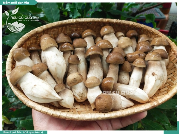 Nấm mối đen khoảng 150g