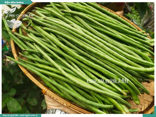 Đậu đũa ngắn (đậu đũa baby)