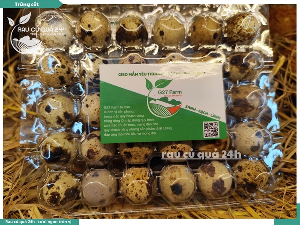 Trứng cút - sét 30