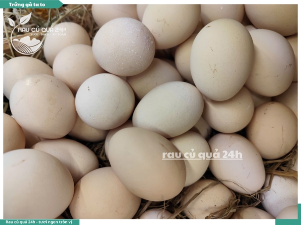 Trứng gà ta lớn - sét 5