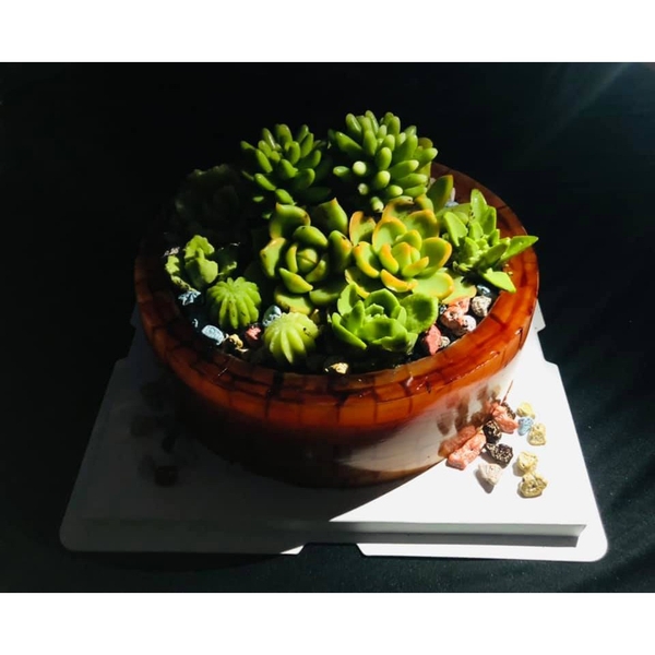 Bộ khuôn silicon Xương Rồng Sen Đá (11 khuôn lớn) làm bánh rau câu 3D 4D nhấn xôi, fondant, socola, nến hanmade