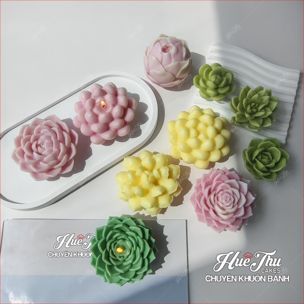 Khuôn silicon Xương Rồng Sen Đá 107 (7 mẫu) làm bánh rau câu 3D 4D nhấn xôi, fondant, socola, nến hanmade